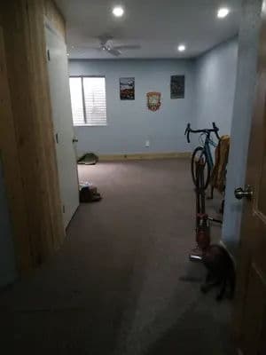 Spacious room interior with light blue walls, bicycle, and carpet flooring.