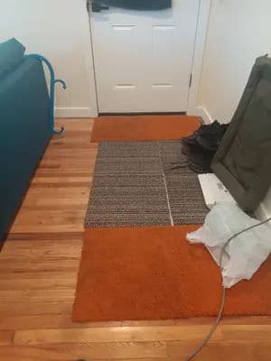 Entryway with orange and patterned rugs, wooden flooring, and a door in the background.