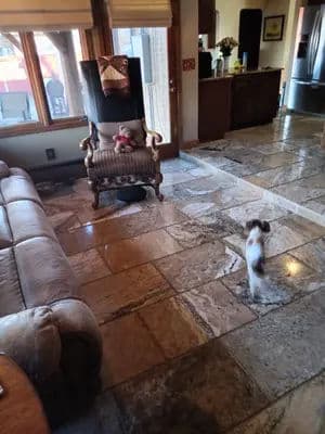 Cozy living room with a dog walking on stone floor and a vintage armchair near the kitchen.