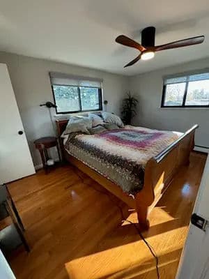 Cozy bedroom featuring a wooden bed, patterned quilt, large windows, and modern ceiling fan.